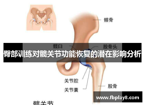 臀部训练对髋关节功能恢复的潜在影响分析