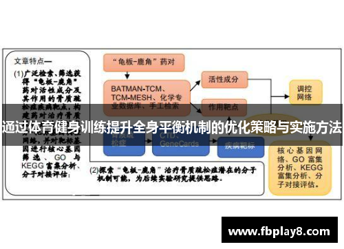 通过体育健身训练提升全身平衡机制的优化策略与实施方法